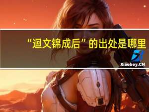 “迴文锦成后”的出处是哪里