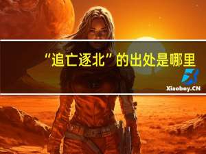 “追亡逐北”的出处是哪里