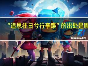“追思往日兮行李难”的出处是哪里