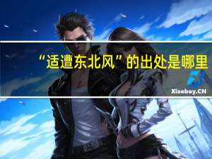 “适遭东北风”的出处是哪里