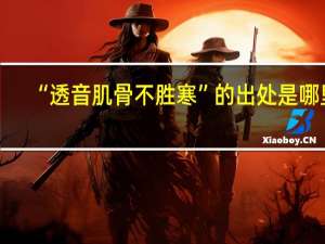 “透音肌骨不胜寒”的出处是哪里