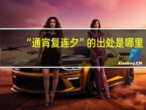 “通宵复连夕”的出处是哪里