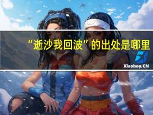 “逝沙我回波”的出处是哪里