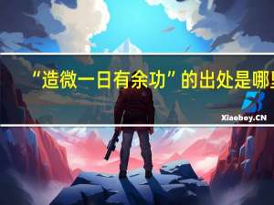 “造微一日有余功”的出处是哪里