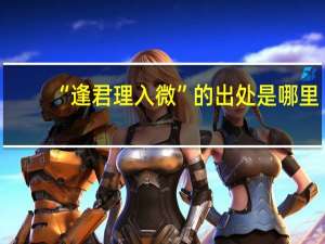 “逢君理入微”的出处是哪里