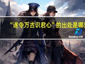 “遂令万古识君心”的出处是哪里