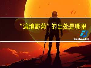 “遍地野菊”的出处是哪里