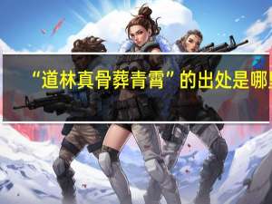 “道林真骨葬青霄”的出处是哪里