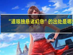 “道眼独悬诸幻息”的出处是哪里