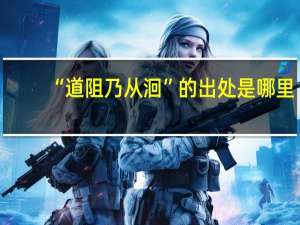 “道阻乃从洄”的出处是哪里