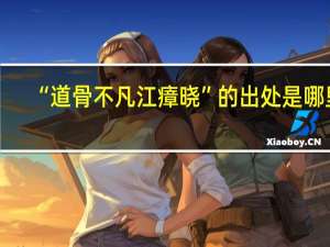 “道骨不凡江瘴晓”的出处是哪里