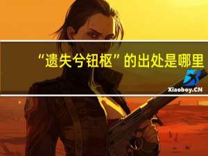 “遗失兮钮枢”的出处是哪里