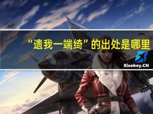“遗我一端绮”的出处是哪里