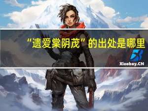 “遗爱棠阴茂”的出处是哪里