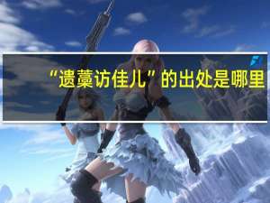 “遗藁访佳儿”的出处是哪里