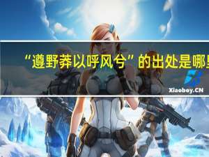 “遵野莽以呼风兮”的出处是哪里