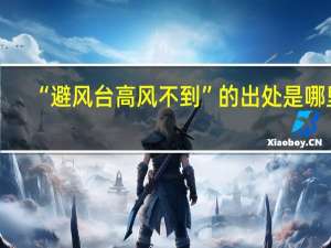 “避风台高风不到”的出处是哪里