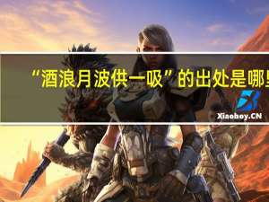 “酒浪月波供一吸”的出处是哪里