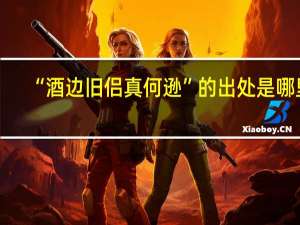 “酒边旧侣真何逊”的出处是哪里