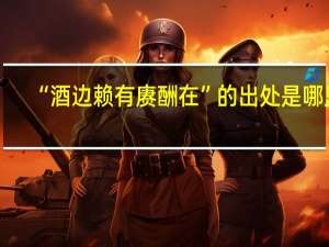 “酒边赖有赓酬在”的出处是哪里