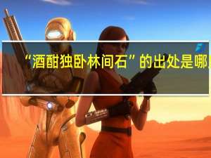 “酒酣独卧林间石”的出处是哪里