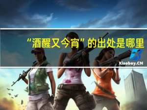 “酒醒又今宵”的出处是哪里