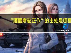 “酒醒寒砧正作”的出处是哪里