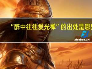 “醉中往往爱光禅”的出处是哪里