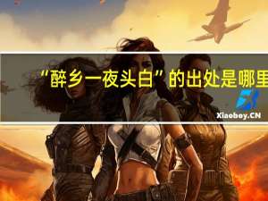“醉乡一夜头白”的出处是哪里