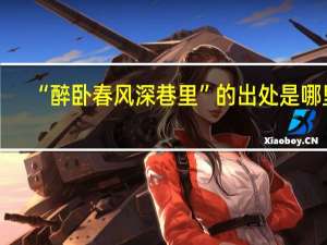 “醉卧春风深巷里”的出处是哪里