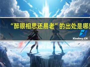 “醉眼相思还易老”的出处是哪里