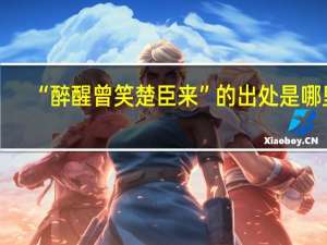 “醉醒曾笑楚臣来”的出处是哪里