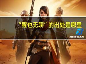 “醒也无聊”的出处是哪里