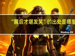 “醒后才堪发笑”的出处是哪里