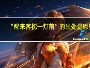 “醒来客枕一灯前”的出处是哪里