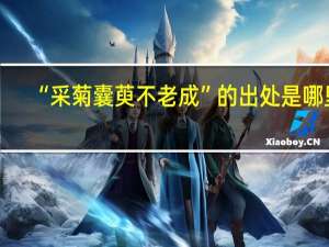 “采菊囊萸不老成”的出处是哪里