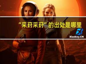 “采葑采葑”的出处是哪里