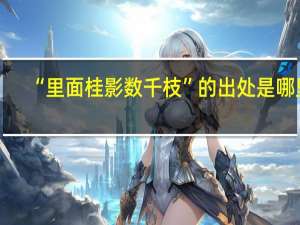 “里面桂影数千枝”的出处是哪里