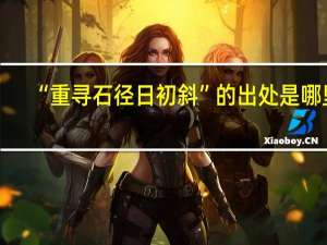 “重寻石径日初斜”的出处是哪里