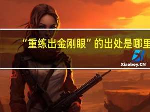 “重练出金刚眼”的出处是哪里