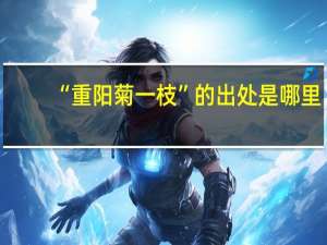 “重阳菊一枝”的出处是哪里