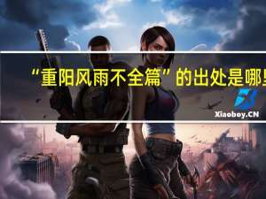 “重阳风雨不全篇”的出处是哪里