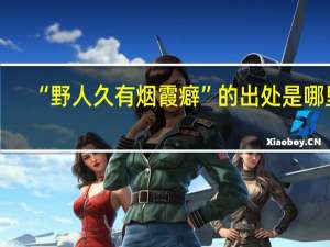 “野人久有烟霞癖”的出处是哪里