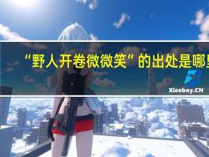 “野人开卷微微笑”的出处是哪里