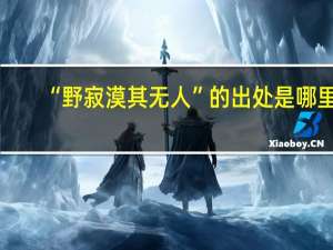 “野寂漠其无人”的出处是哪里