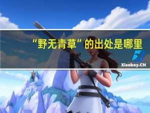 “野无青草”的出处是哪里