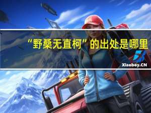 “野桑无直柯”的出处是哪里