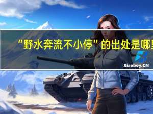 “野水奔流不小停”的出处是哪里