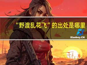 “野渡乱花飞”的出处是哪里