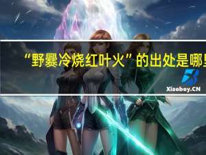 “野爨冷烧红叶火”的出处是哪里